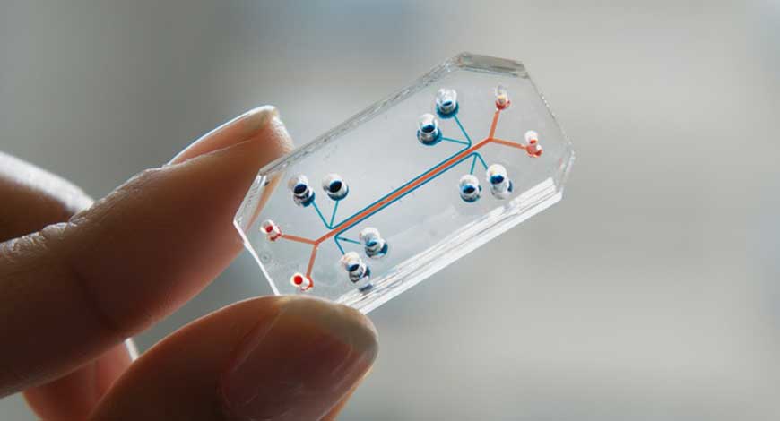 Biochips Market size is set to grow by USD 43,273.01 million from 2022 to 2027